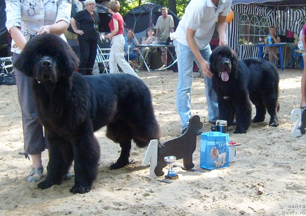 Фотография № 46725