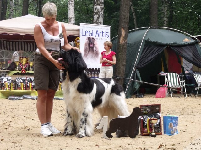 Фотография № 46726