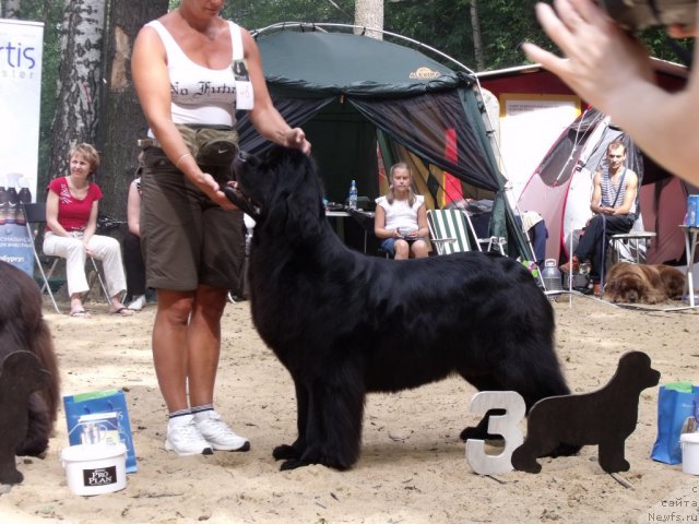 Фотография № 46730