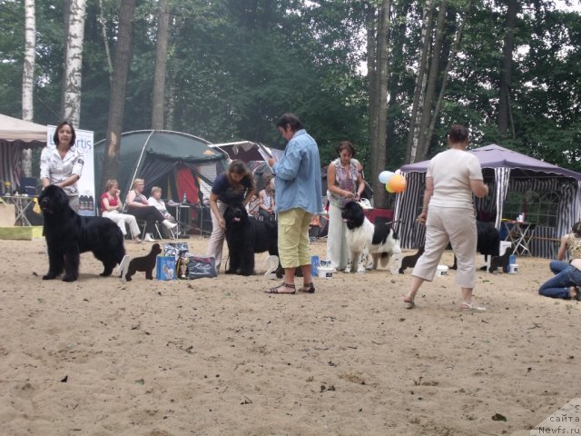 Фотография № 46736