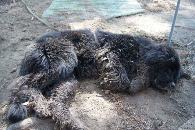 Фотография № 46739