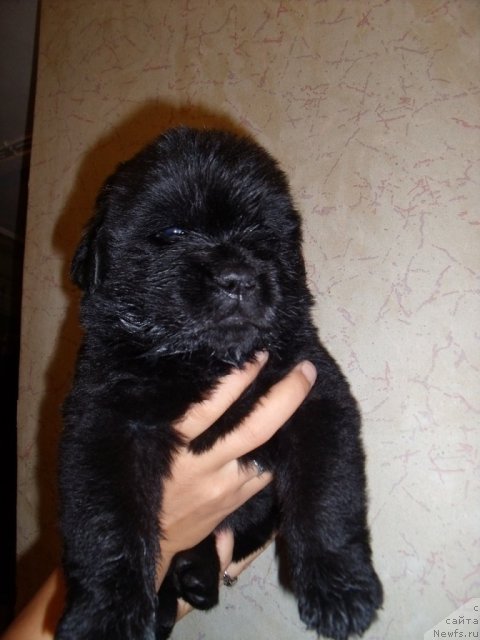 Фотография № 46746