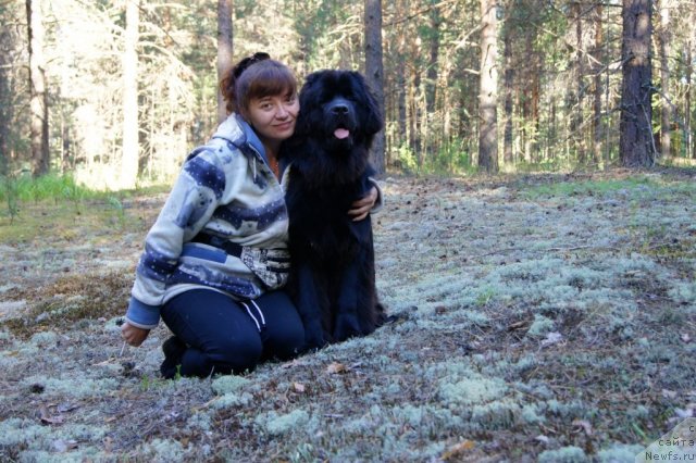 Фотография № 46750