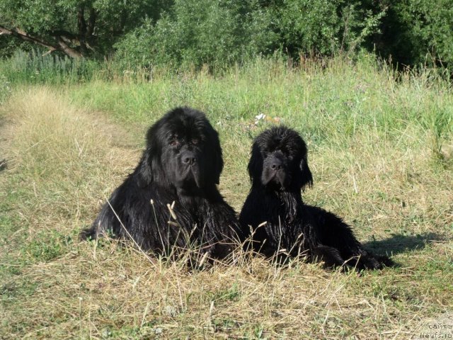 Фотография № 46754