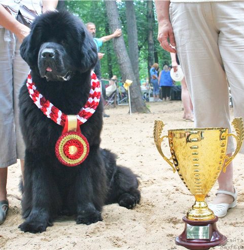 Фотография № 46758