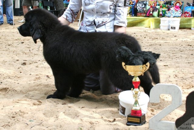 Фото: Бегущая по волнам Харизма