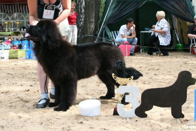 Фотография № 46763