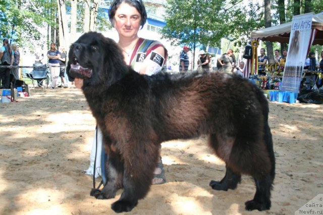 Фотография № 46767