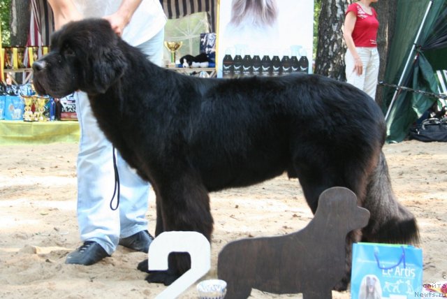 Фотография № 46772