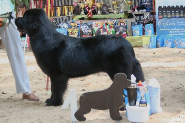 Фотография № 46774