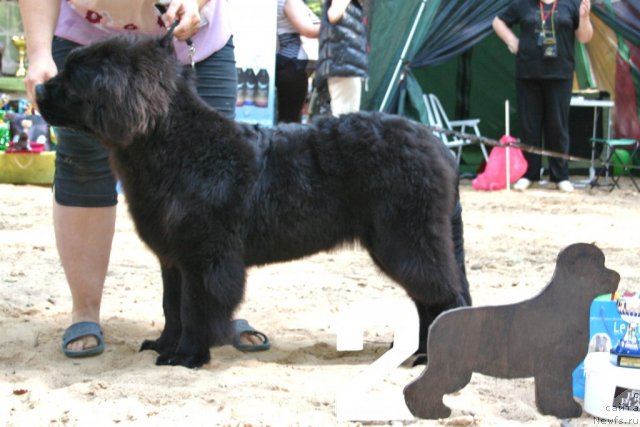 Фотография № 46775