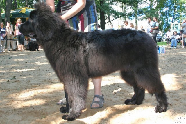 Фотография № 46776