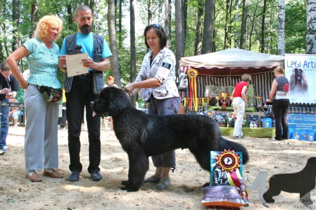 Фотография № 46777