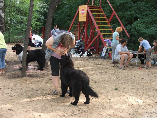 Фотография № 46792