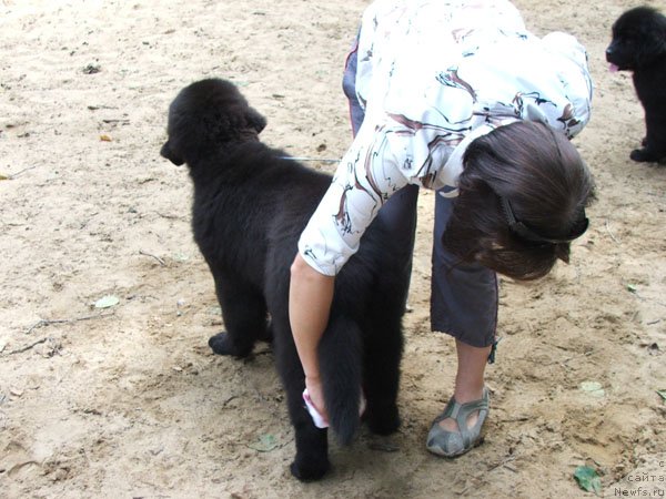 Фотография № 46793