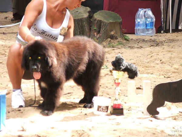 Фотография № 46796