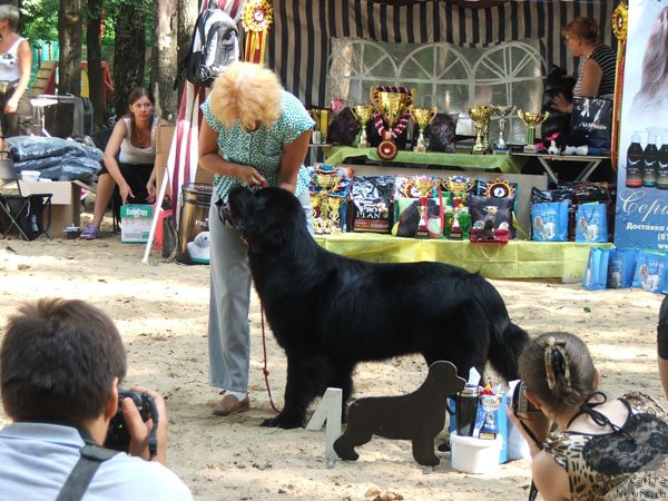 Фотография № 46801