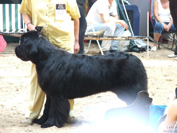 Фотография № 46802