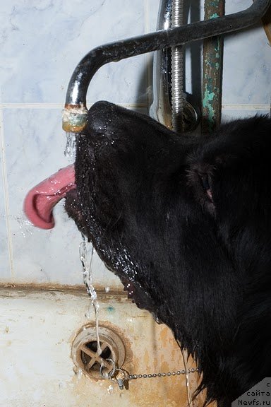 Фотография № 46862