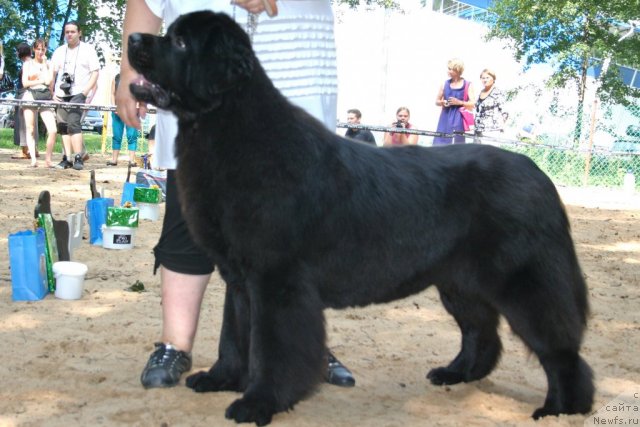 Фотография № 46878