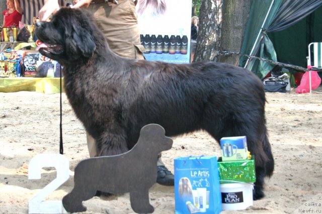 Фотография № 46882