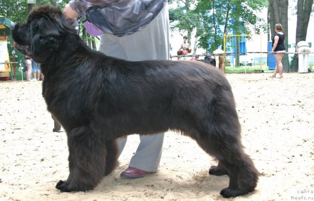 Фотография № 46887