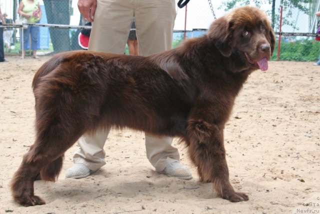 Фотография № 46891