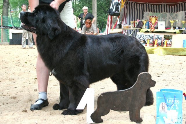 Фотография № 46894