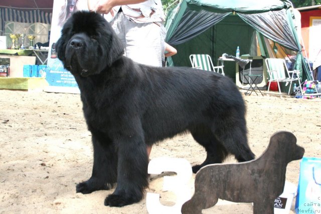 Фотография № 46896