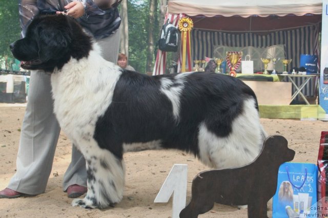 Фотография № 46902