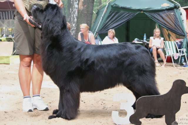 Фотография № 46907