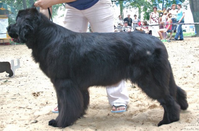 Фотография № 46909