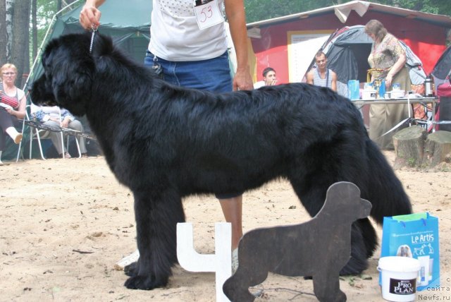 Фотография № 46914