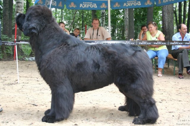 Фотография № 46916