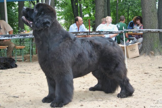 Фотография № 46917