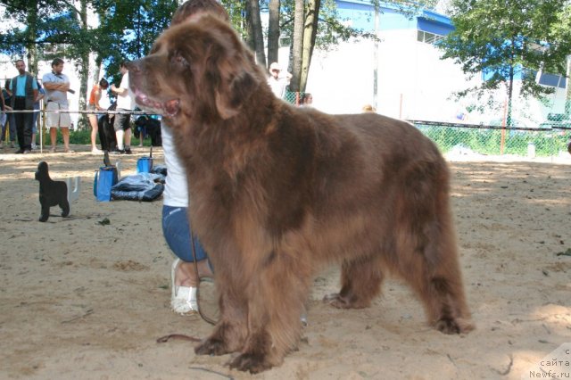 Фотография № 46919