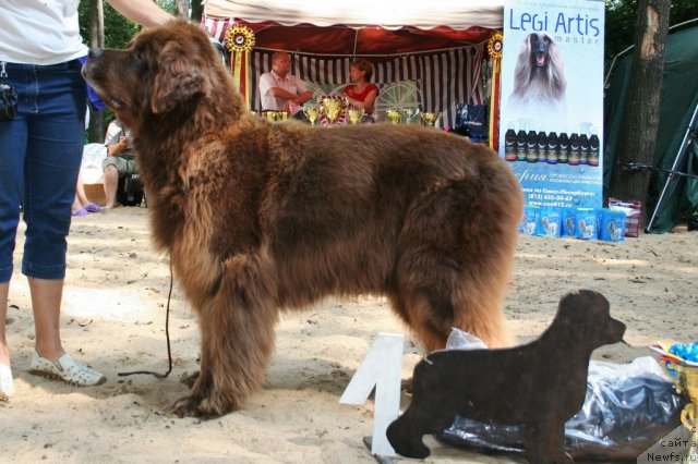 Фотография № 46920