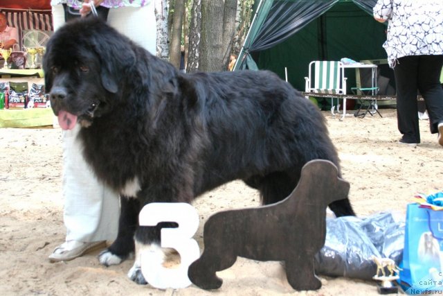 Фотография № 46924