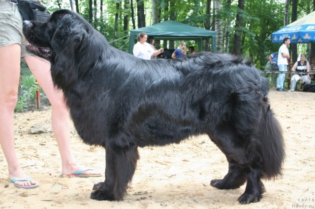 Фотография № 46929