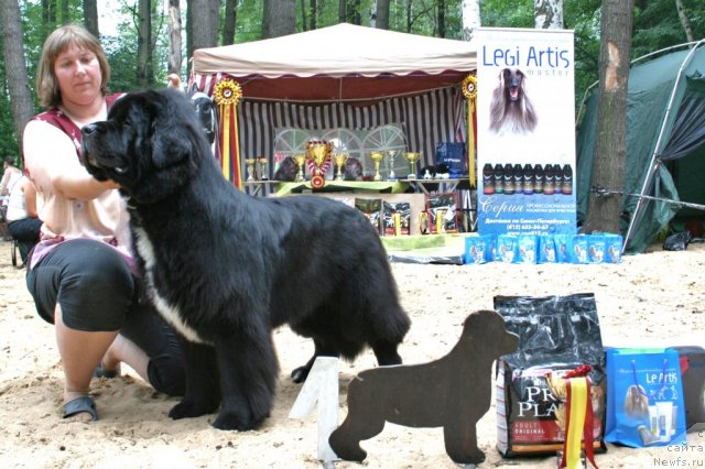 Фотография № 46932