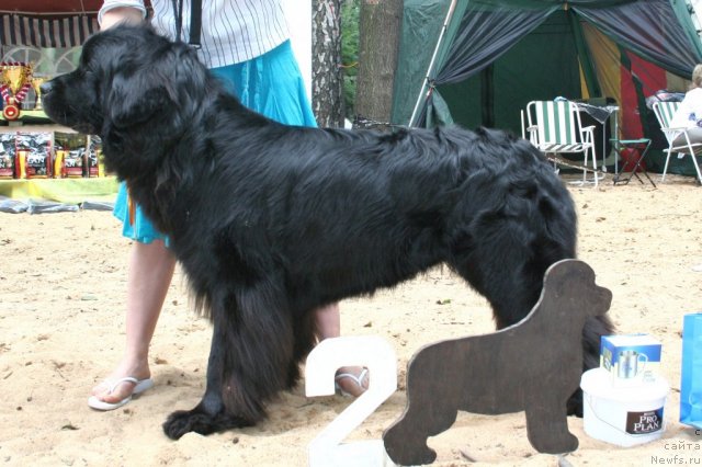 Фотография № 46934