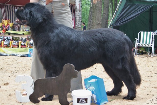 Фотография № 46937