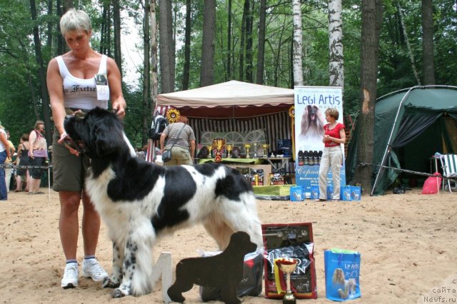 Фотография № 46938