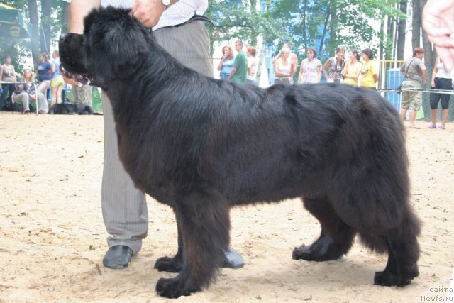 Фотография № 46940