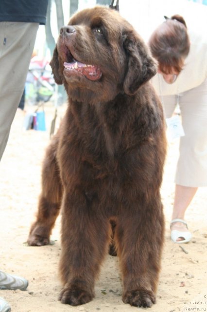 Фотография № 46942