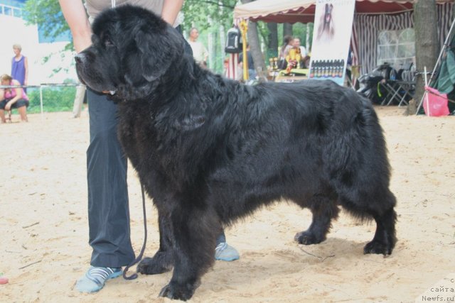 Фотография № 46945