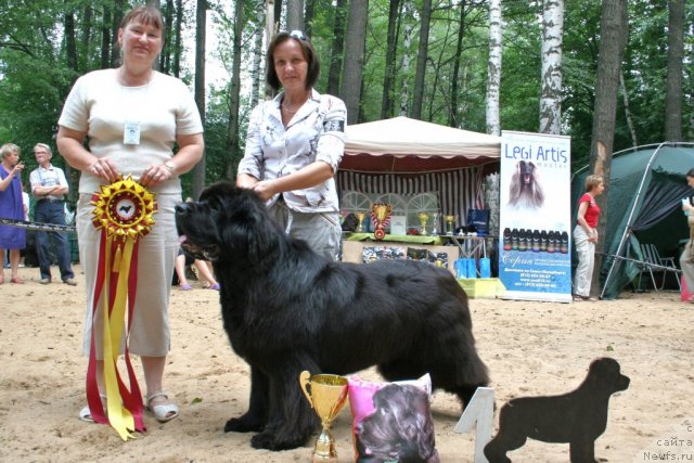 Фотография № 46948