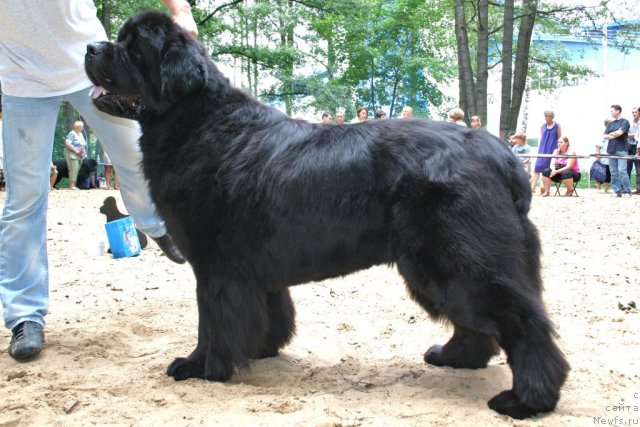 Фотография № 46950