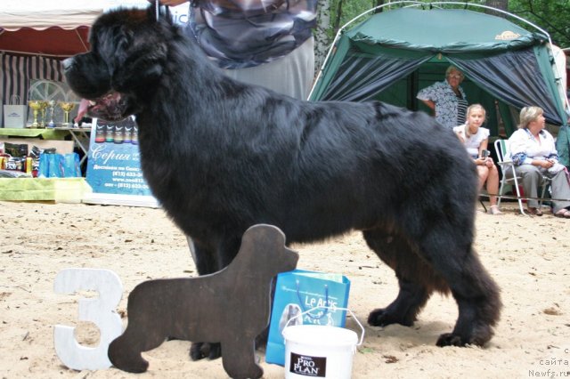 Фотография № 46952