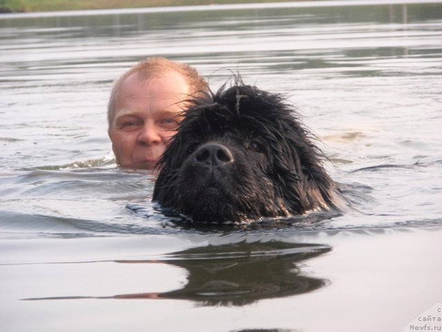 Фотография № 46959